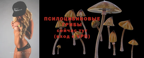 альфа пвп Касимов