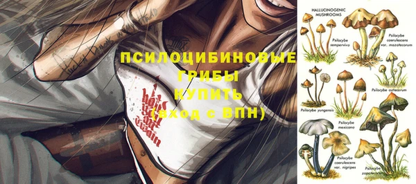 дживик Карталы