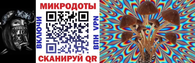 Галлюциногенные грибы Magic Shrooms  Евпатория 