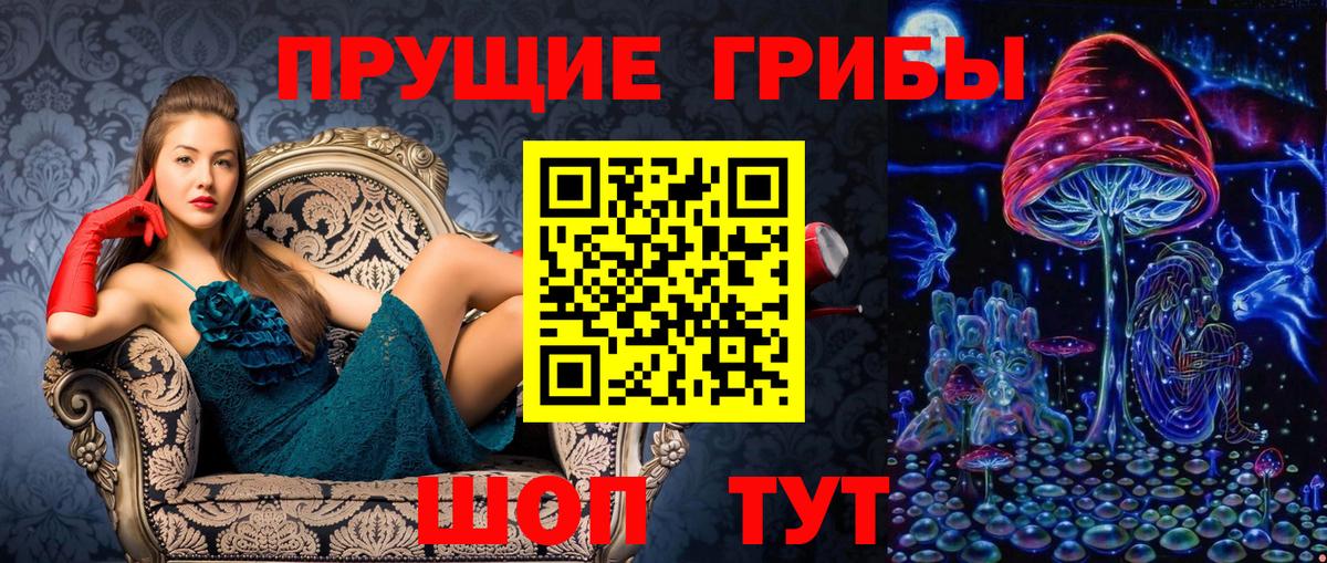 Псилоцибиновые грибы прущие грибы Евпатория