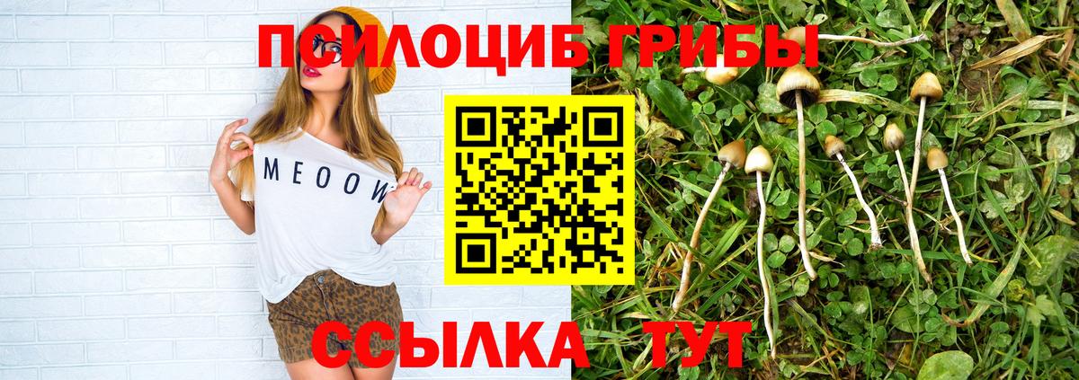 Галлюциногенные грибы Cubensis  Вход с VPN  Евпатория 